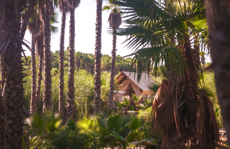 Amet Nature Retreat
© Los Cabos Tourism Board
